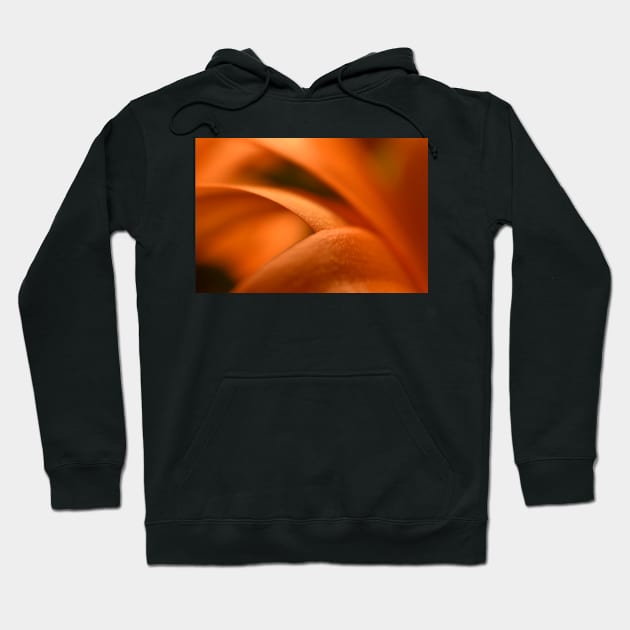 Orange flower petals Hoodie by ToniaDelozier